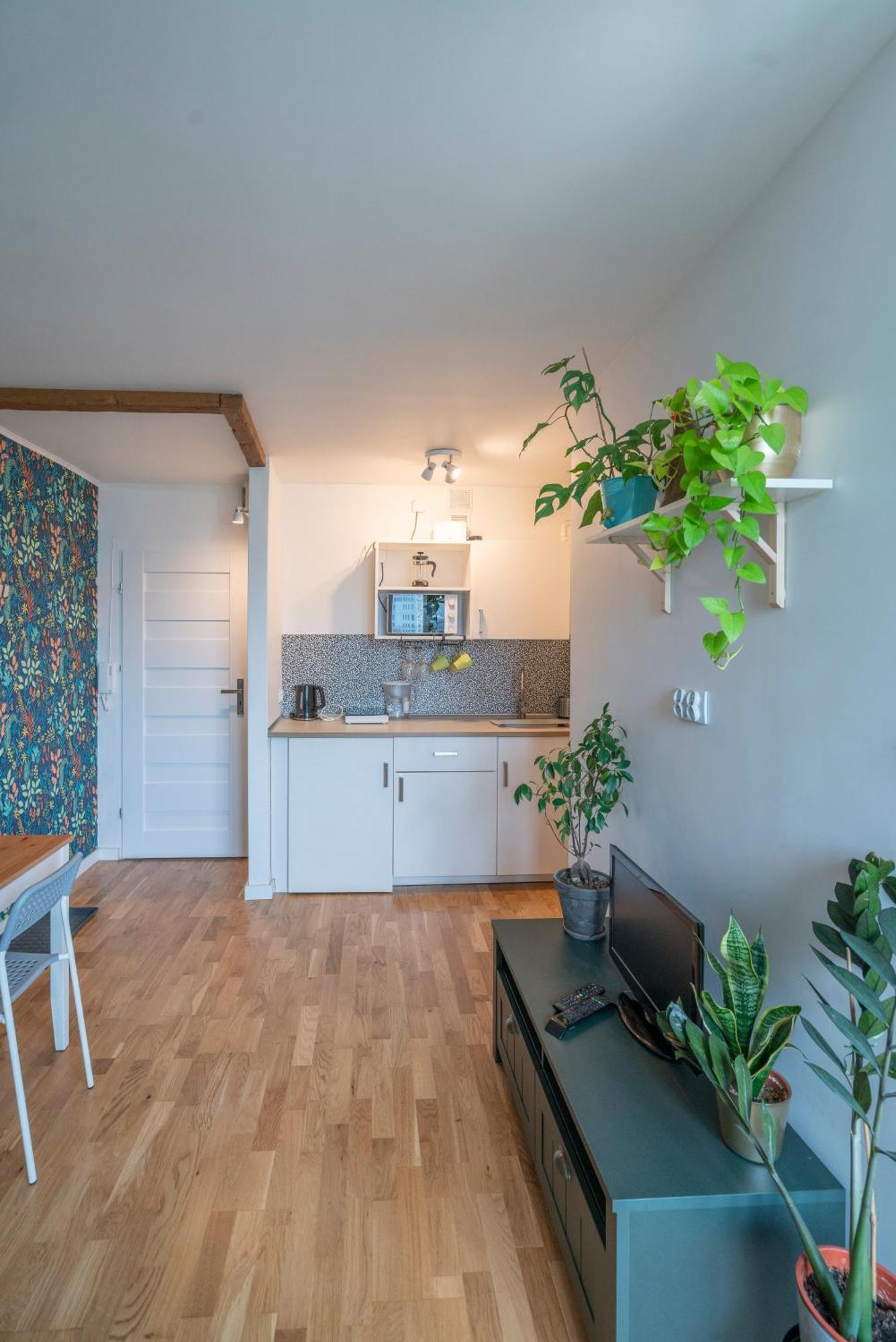 Green Studio In The City Center Of Wroclaw Dış mekan fotoğraf